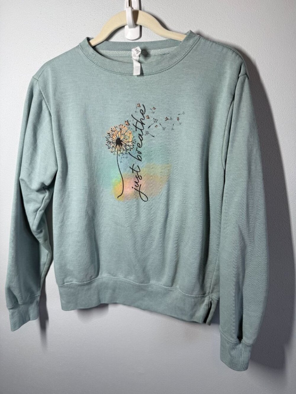 Love & Faith Womens M Sage Graphic Sweatshirt Dandelion Cottagecore Casual Cozy